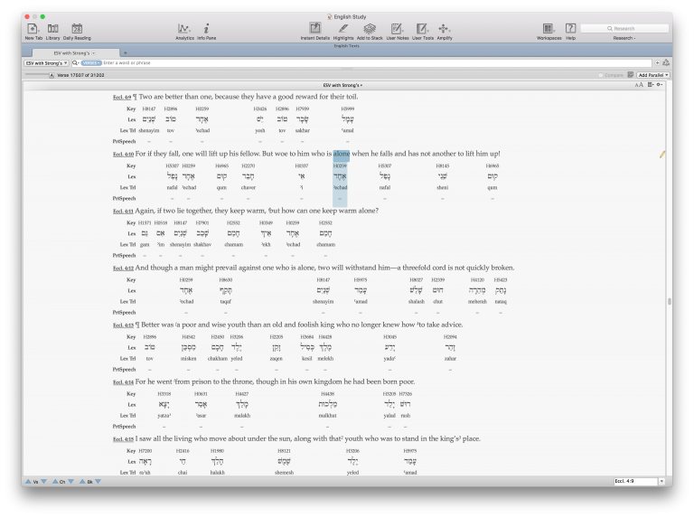 accordance bible software review